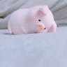 177님의 프로필 사진